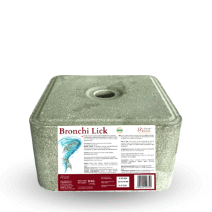 Bronchi Lick 8kg - lizawka solna wspomagająca układ oddechowy | Over Horse