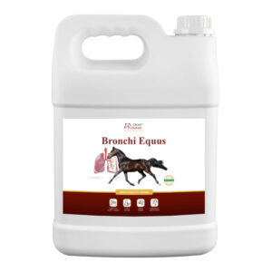 Bronchi Equus 5 l – syrop na kaszel i wsparcie układu oddechowego dla koni | Over-Horse