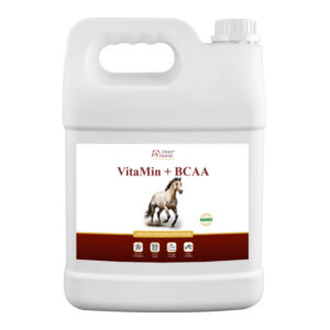 VitaMin + BCAA 5 l – syrop witaminowo-aminokwasowy dla koni | Over-Horse