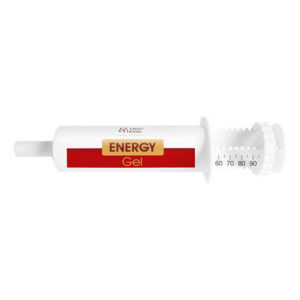 Energy Gel 100 ml – energetyczna pasta dla koni | Over-Horse