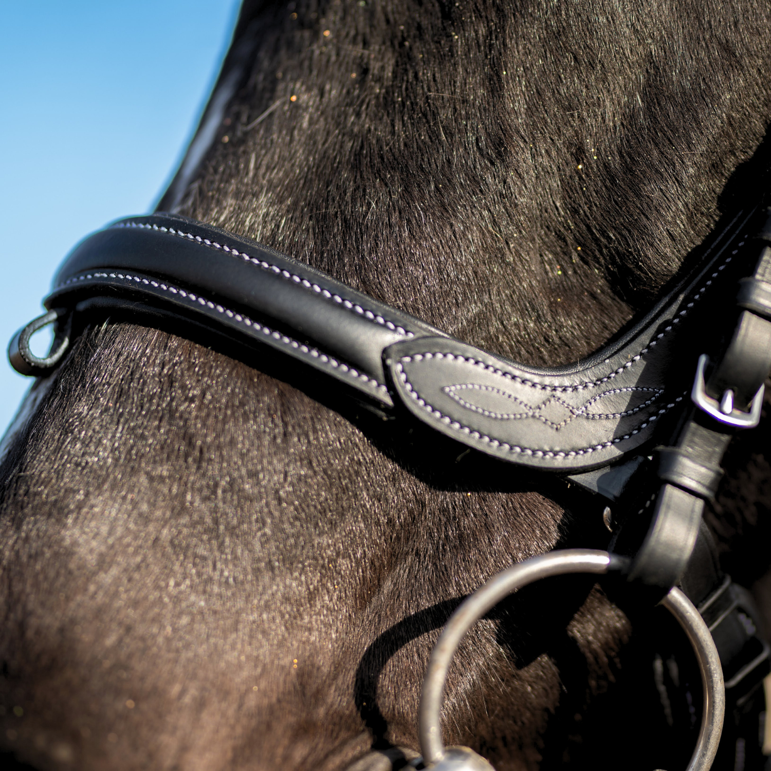 Tranzelka Horsenjoy Anatomic - obrazek 3