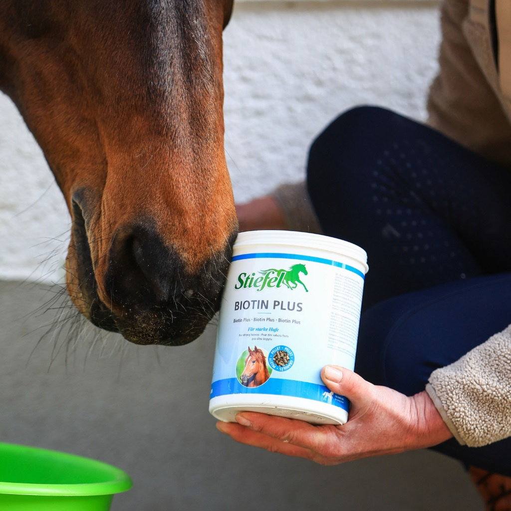 Biotin Plus Pellet Stiefel biotyna - obrazek 4