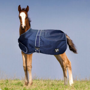 Derka York Foal 600D źrebięca padokowa przeciwdeszczowa z ociepleniem 100g