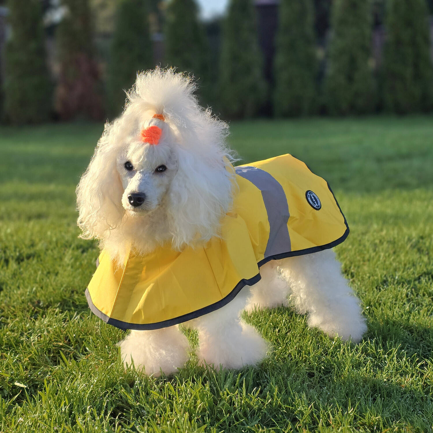 Płaszcz Pariso Raincoat - obrazek 5