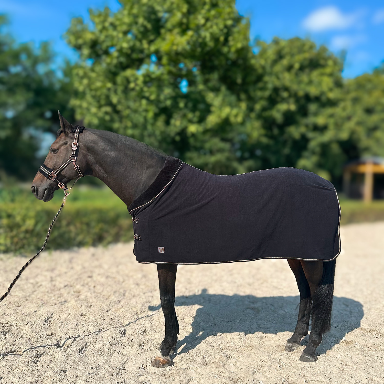Derka York Gold Star polarowa