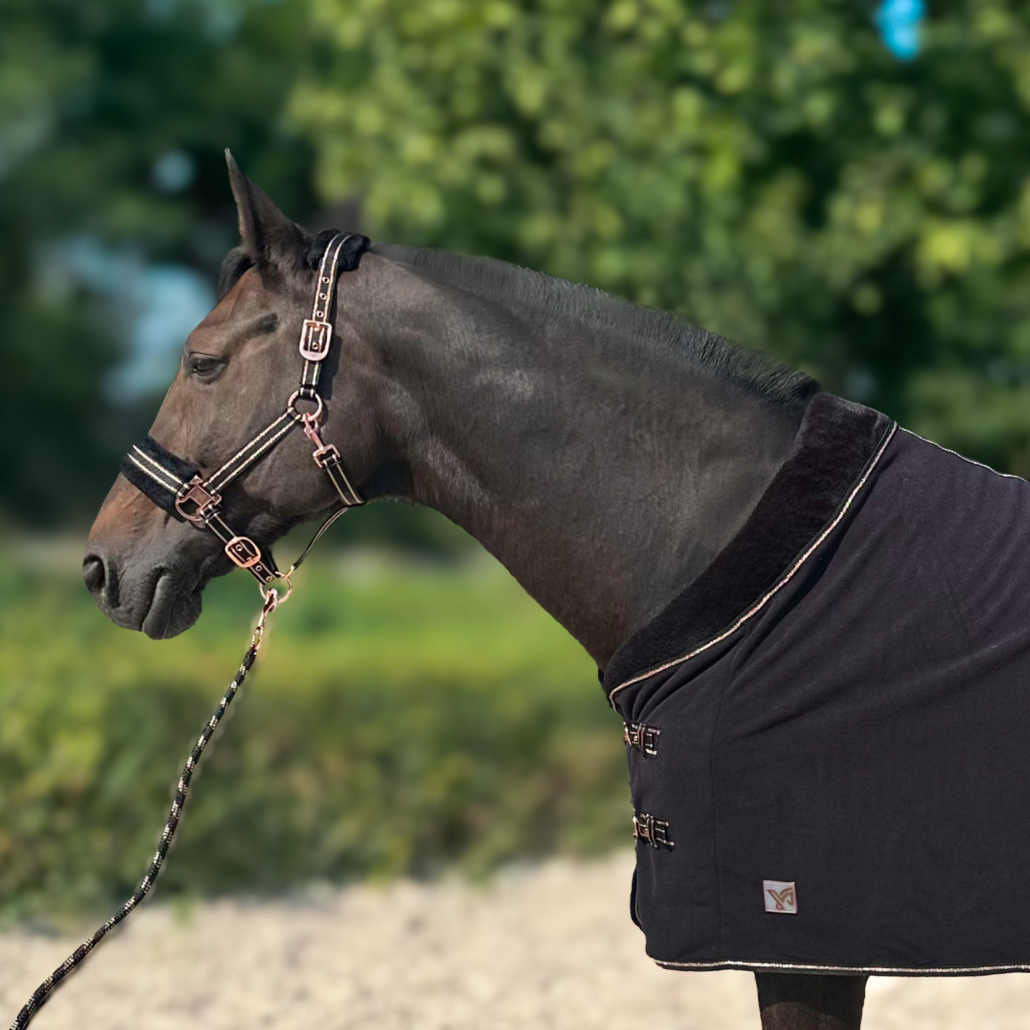 Derka York Gold Star polarowa - obrazek 2