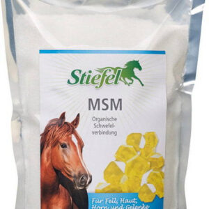 MSM Stiefel