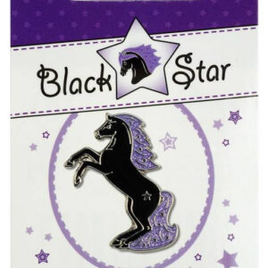 Przypinka w opakowaniu HR Black Star