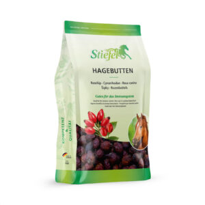 Hagebutte Stiefel owoce róży